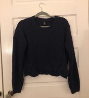 Francesca's NWT Cropped  Sweater