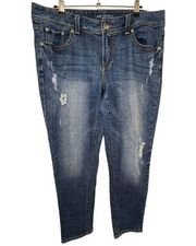 Lane Bryant Distressed Mid-Rise Skinny Jeans