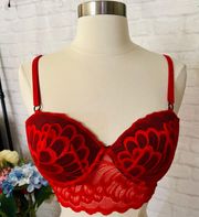 NEW Red Lace Bustier