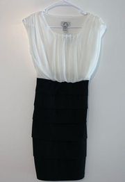 Sweet Storm Pleated Skirt Sheer Top Dress