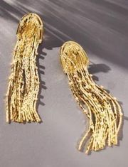 NWT Anthropologie Tassel Gold & Rhinestone Earrings- One Size