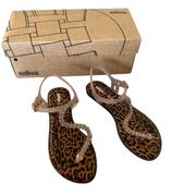 Melissa Solar II Bobo Sandal Snake Serpent Rhinestone NEW