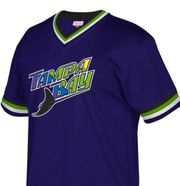 Tampa Bay Rays Mitchell & Ness Mesh V-Neck Purple Jersey Unisex Fan, Small NWOT