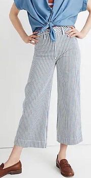 Madewell Emmett Wide-Leg Crop Pants in Herringbone Railroad Stripe Sz 31