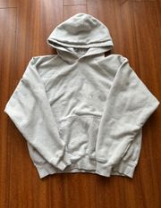 Grey TNA Hoodie