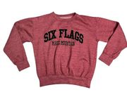 Six Flags Magic Mountain Maroon Sweatshirt Size Small