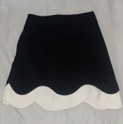 Boutique Skirt