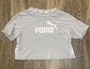 Womens  Grey Cropped Tee - S