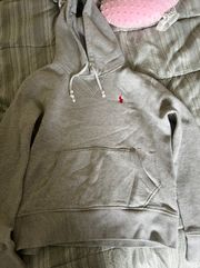 polo cropped hoodie