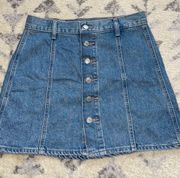 Levi Jean Skirt