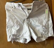 Tinseltown Relaxed Denim Shorts Size 9