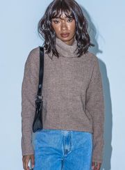 Laith Turtleneck Sweater in Brown