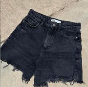 Zara Jean Shorts