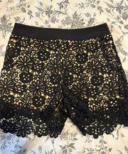 Black Lace Dress Shorts