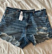 American Eagle 90s Boyfriend Short Stretch