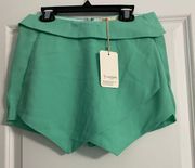 L’ATISTE By Amy Sea Foam Green Skort Shorts