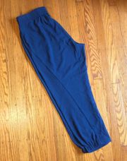 Blue Ankle Pants