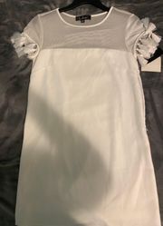 Shift Dress NWT