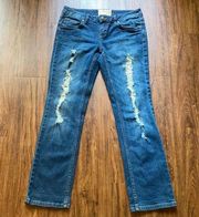 American Rags straight distressed Jeans Size 5S