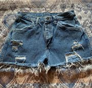 Jean Shorts 30x30