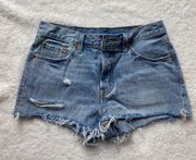 Light Wash Denim Shorts