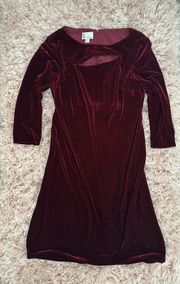 Velvet Dress