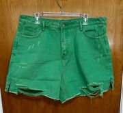 Green Jean Shorts