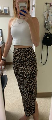 Cheetah Skirt