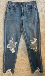 Outfitters Distressed Mom Jean