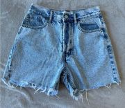 90s Girlfriend High Waisted Jean Shorts