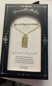 Capricorn Necklace 