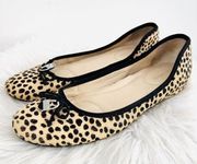 CALVIN KLEIN Izabell Cheetah Spotted Animal Hair Ballet Flats ~ Size 7M