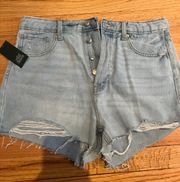 Denim High Waisted Shorts