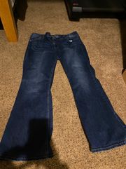 Maurice’s Dark Blue Bootcut Jeans