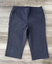 Christopher & Banks Navy Blue Crepe Cropped Pants Size 10 Pedal Pushers E8