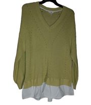 Terra & Sky Liden Green Sweater Size 2X