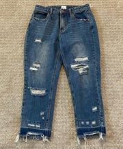 Special A High Rise Distressed Cropped Jeans