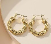 Gold Hoop Earnings