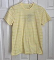 Everlane The Organic Cotton Cropped Tee Yellow Stripe Size L NWT