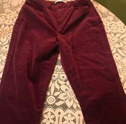 Lauren Conrad brand new pants