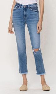 EUC Anthropologie Straight Leg Jeans