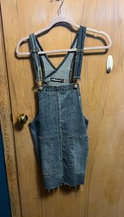 Denim Overall Dress