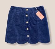 NWT Southern Proper Navy Corduroy Skirt