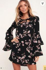 Jack by BB Dakota Midnight Garden Black Floral Bell Sleeve Dress, EUC, Medium