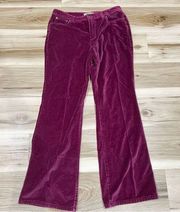 Caribbean Joe Maroon Velour Bootcut Pants Jeans Women’s 6