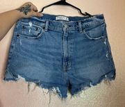 Abercrombie & Fitch Abercrombie hi rise mom shorts size 10