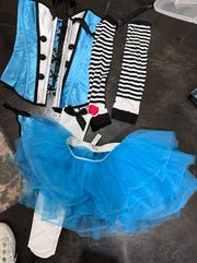 Alice In Wonderland Halloween costume Set Small 