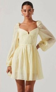 the Label Carina Yellow Mini Dress