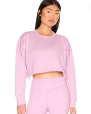 NWT WeWoreWhat Cropped Lilac Sweatshirt size small