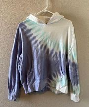 Wildfox Tye Dye Hoodie